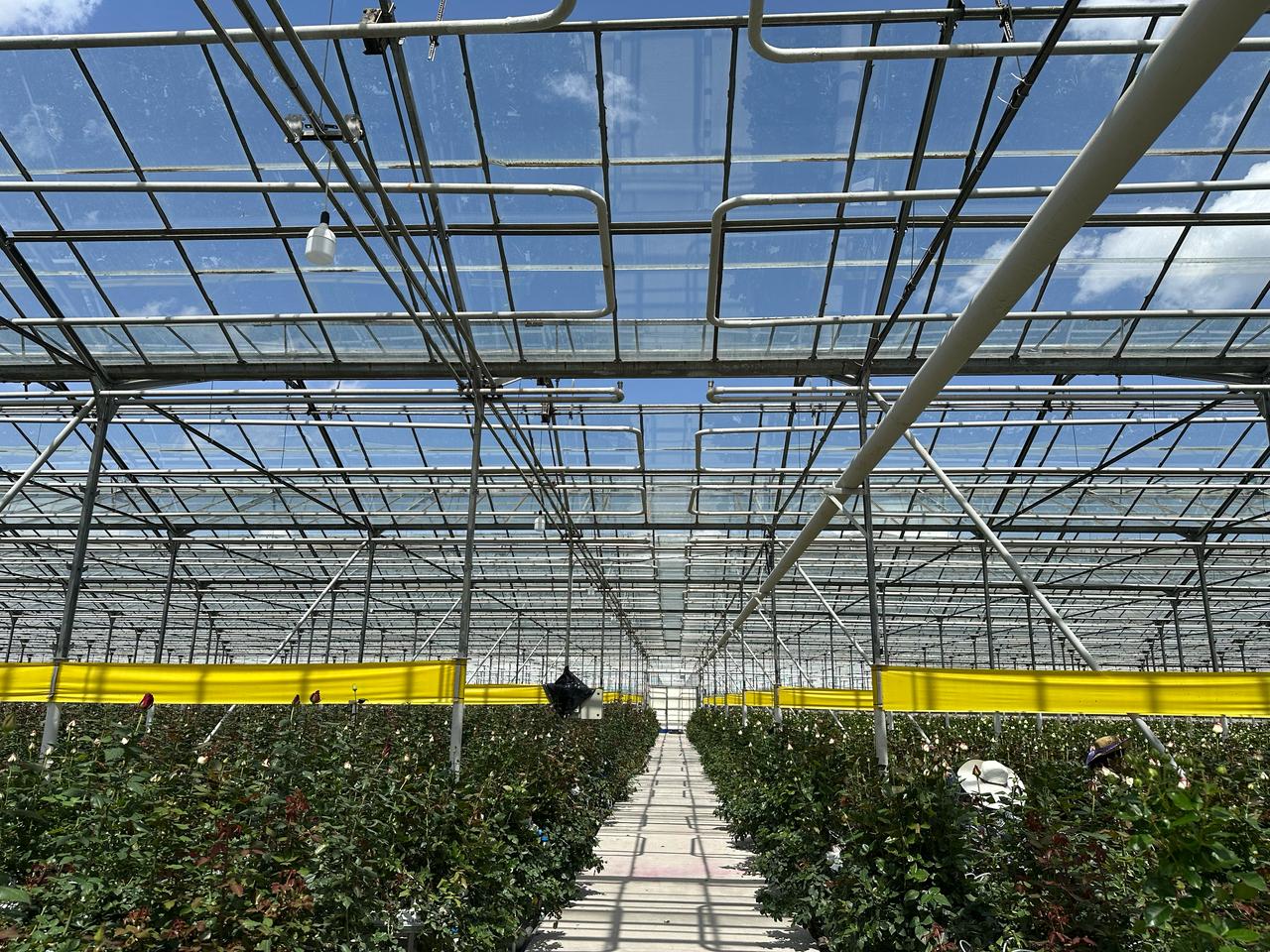 Automation of Irrigation and Fertilization